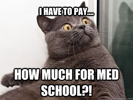 I have to pay.... HOW MUCH FOR MED SCHOOL?! - I have to pay.... HOW MUCH FOR MED SCHOOL?!  conspiracy cat