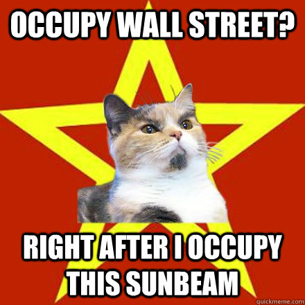 Occupy Wall Street? Right after I occupy this sunbeam  Lenin Cat