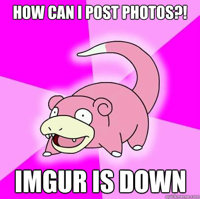 How can i post photos?! imgur is down  Slowpoke