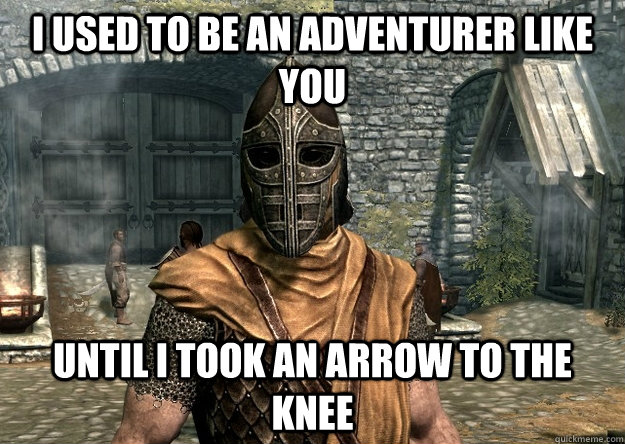 I used to be an adventurer like you Until i took an arrow to the knee - I used to be an adventurer like you Until i took an arrow to the knee  Injured Guard