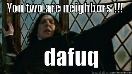 dafaq. memed  - YOU TWO ARE NEIGHBORS !!!  Misc