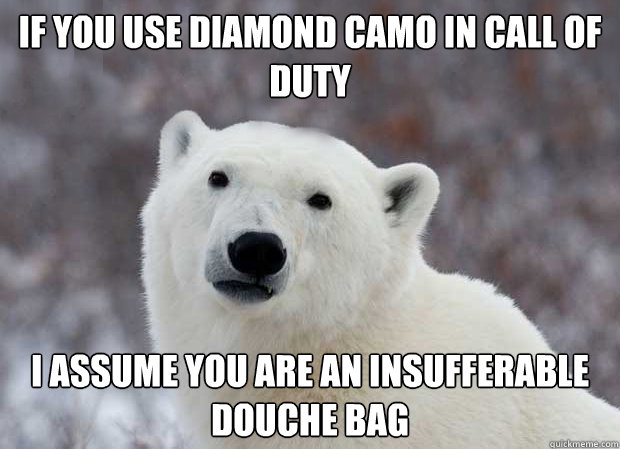 If you use Diamond Camo in Call of Duty I assume you are an insufferable douche bag  Popular Opinion Polar Bear