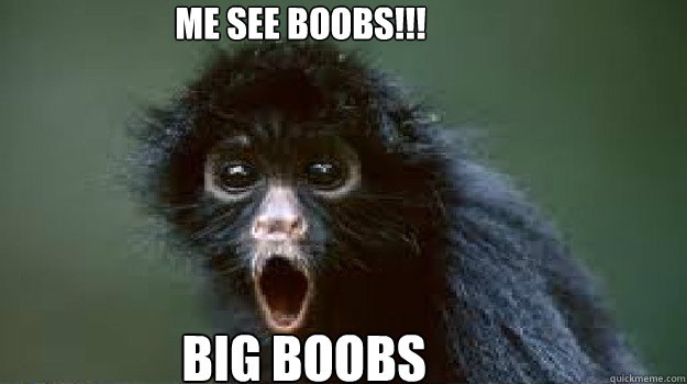 me see boobs!!! BIG BOOBS  MONKEY SEE BIG BOOBS