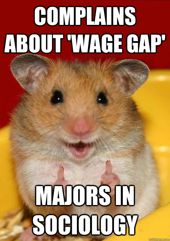 complains about 'wage gap' MAjors in Sociology  Caption 4 goes here  Rationalization Hamster