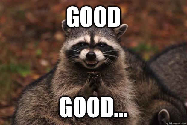 Good Good...  Evil Plotting Raccoon