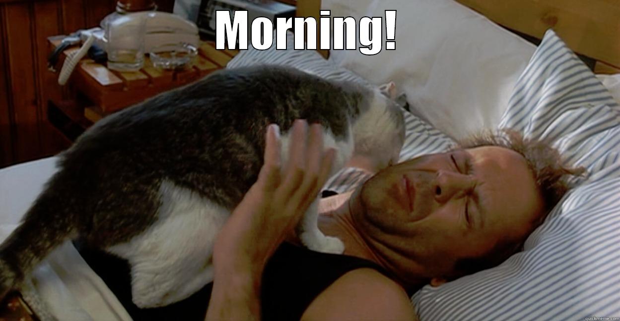 MORNING!  Misc