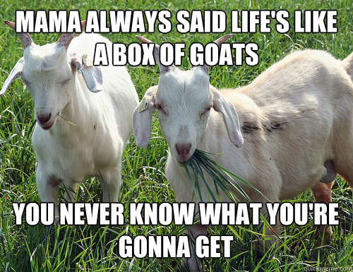 Mama always said life's like a box of goats you never know what you're gonna get - Mama always said life's like a box of goats you never know what you're gonna get  Goat Quotes