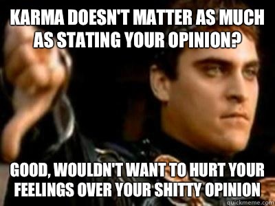Karma doesn't matter as much as stating your opinion? Good, wouldn't want to hurt your feelings over your shitty opinion  Downvoting Roman