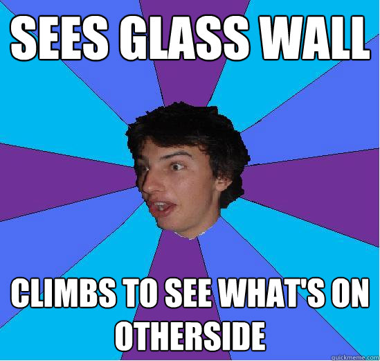 Sees glass wall climbs to see what's on otherside  