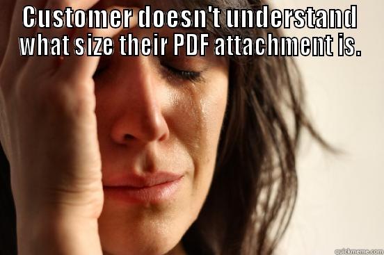 CUSTOMER DOESN'T UNDERSTAND WHAT SIZE THEIR PDF ATTACHMENT IS.  First World Problems
