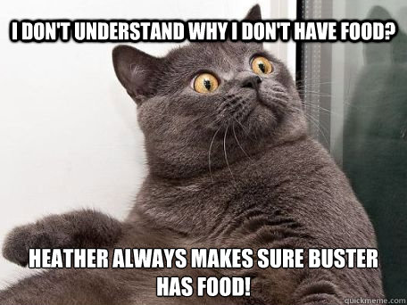 I don't understand why I don't have food? Heather always makes sure buster has food!  conspiracy cat