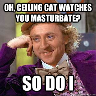 Oh, Ceiling cat watches you masturbate? So do i  Creepy Wonka