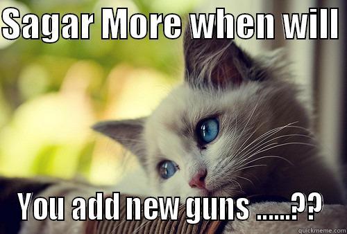 SAGAR MORE WHEN WILL  YOU ADD NEW GUNS ......?? First World Problems Cat