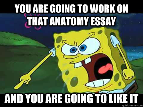 YOU ARE GOING TO WORK ON THAT ANATOMY ESSAY and you are going to like it  Angry Spongebob