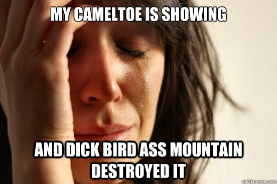 My Cameltoe is showing And Dick Bird Ass Mountain destroyed it  First World Problems