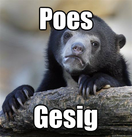 Poes Gesig  Confession Bear