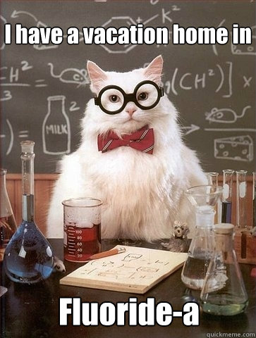 I have a vacation home in Fluoride-a - I have a vacation home in Fluoride-a  Chemistry Cat