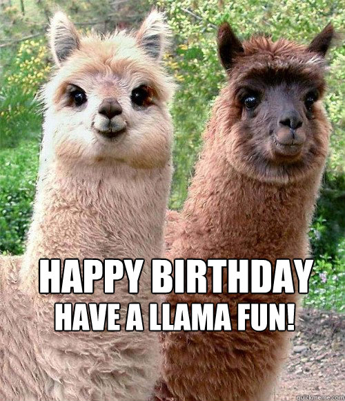 Have a Llama fun! HAPPY BIRTHDAY  Happy birthday Llama