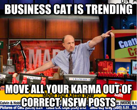 Business cat is trending Move all your karma out of correct NSFW posts  move your karma now
