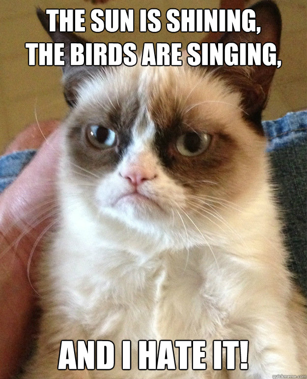 The sun is shining,
the birds are singing, and i hate it!  grumpycat