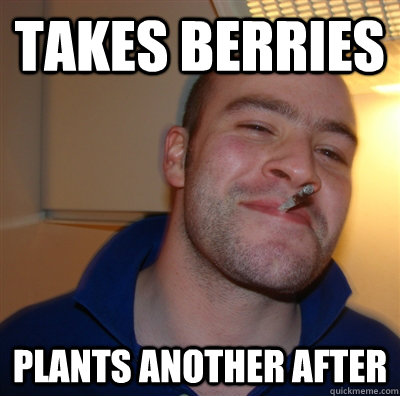 Takes berries plants another after  GGG view on Idra