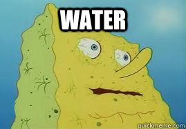 water  - water   Hangover Spongebob