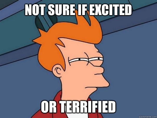 Not sure if excited Or terrified  Futurama Fry