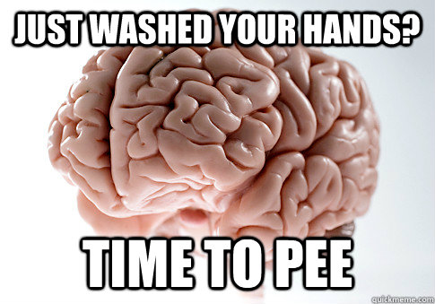 just washed your hands? time to pee  Scumbag Brain
