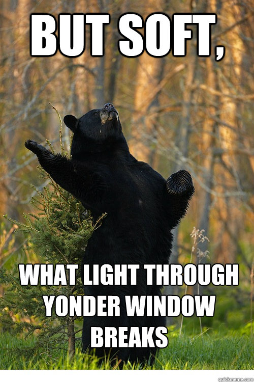 BUT SOFT, WHAT LIGHT THROUGH YONDER WINDOW BREAKS  