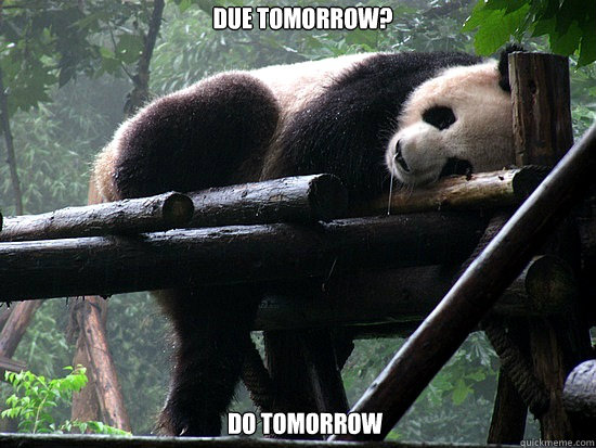 Due tomorrow?  Do tomorrow - Due tomorrow?  Do tomorrow  Lazy Panda