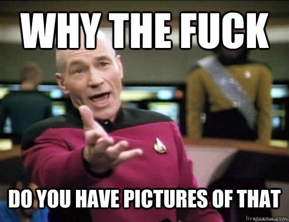 why the fuck do you have pictures of that   Annoyed Picard HD