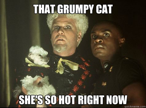 That Grumpy Cat She's So hot right now  Hes So Hot Right Now
