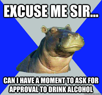 Excuse me Sir... Can I have a moment to ask for approval to drink alcohol - Excuse me Sir... Can I have a moment to ask for approval to drink alcohol  Skeptical Hippo