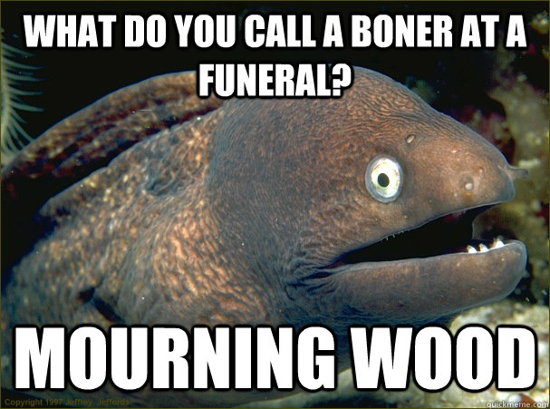 What do you call a boner at a funeral? Mourning wood - What do you call a boner at a funeral? Mourning wood  Bad Joke Eel