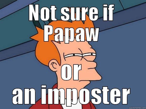 NOT SURE IF PAPAW OR AN IMPOSTER Futurama Fry