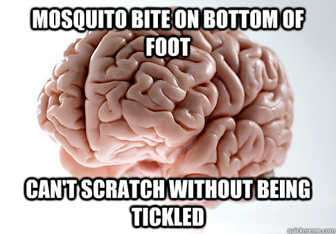 mosquito bite on bottom of foot can't scratch without being tickled  Scumbag Brain