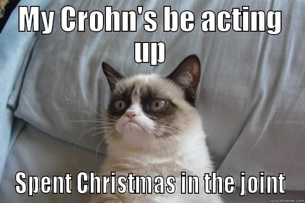 MY CROHN'S BE ACTING UP SPENT CHRISTMAS IN THE JOINT Grumpy Cat