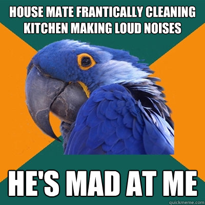 House Mate frantically cleaning kitchen making loud noises He's mad at me  Paranoid Parrot