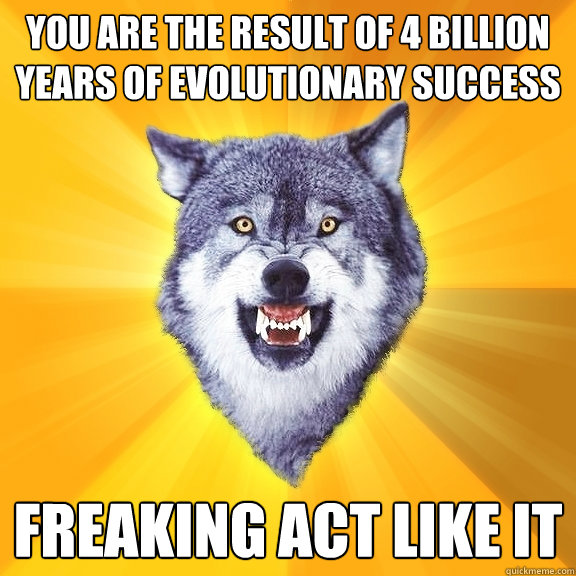 you are the result of 4 billion years of evolutionary success freaking act like it  Courage Wolf
