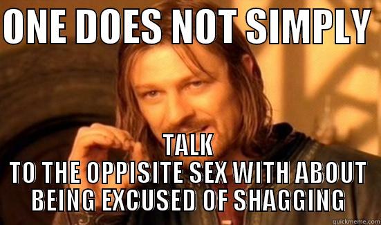 ONE DOES NOT SIMPLY  TALK TO THE OPPISITE SEX WITH ABOUT BEING EXCUSED OF SHAGGING Boromir