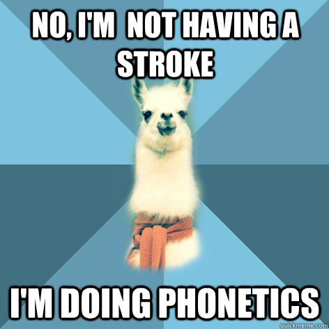 No, I'm  not having a stroke I'm doing phonetics - No, I'm  not having a stroke I'm doing phonetics  Linguist Llama