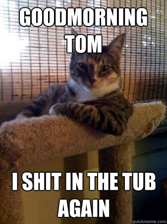 goodmorning tom i shit in the tub again  The Most Interesting Cat in the World