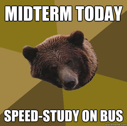 midterm today speed-study on bus   Lazy Bachelor Bear