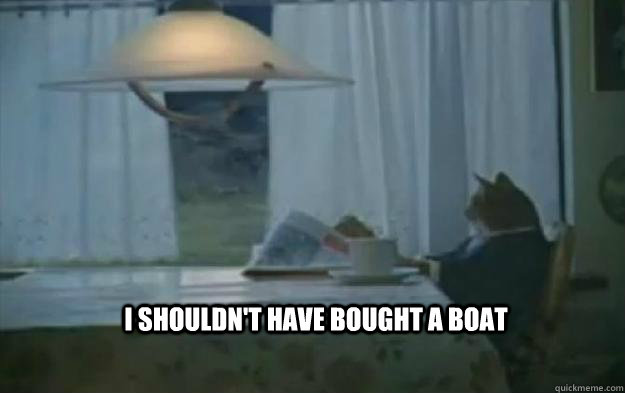 I shouldn't have bought a boat  Regretful Cat