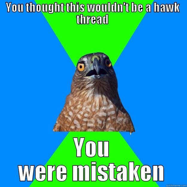 YOU THOUGHT THIS WOULDN'T BE A HAWK THREAD YOU WERE MISTAKEN Hawkward Hawk