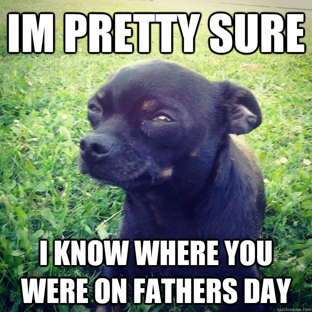 IM PRETTY SURE I know where you were on fathers day - IM PRETTY SURE I know where you were on fathers day  Skeptical Dog
