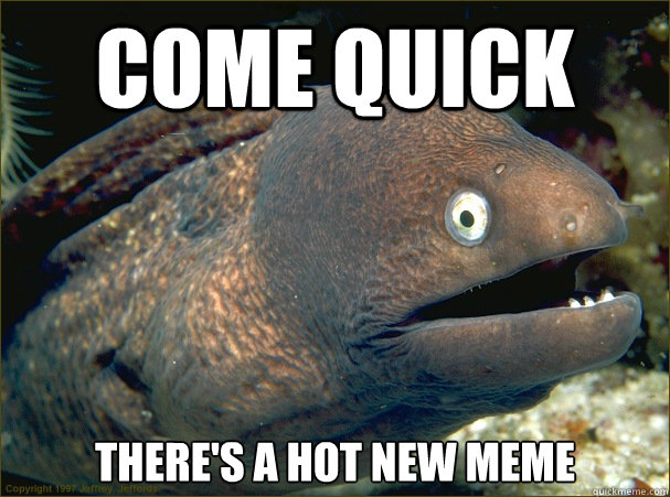 Come quick There's a hot new meme - Come quick There's a hot new meme  Bad Joke Eel