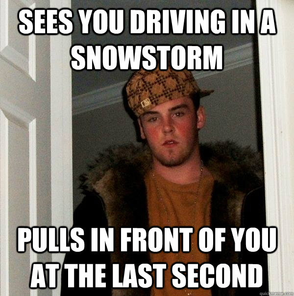 Sees you driving in a snowstorm Pulls in front of you at the last second  Scumbag Steve