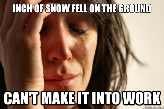 Inch of snow fell on the ground Can't make it into work  First World Problems