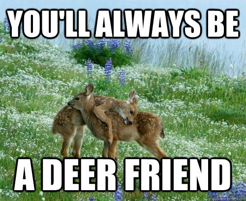 you'll always be a deer friend  deer friend